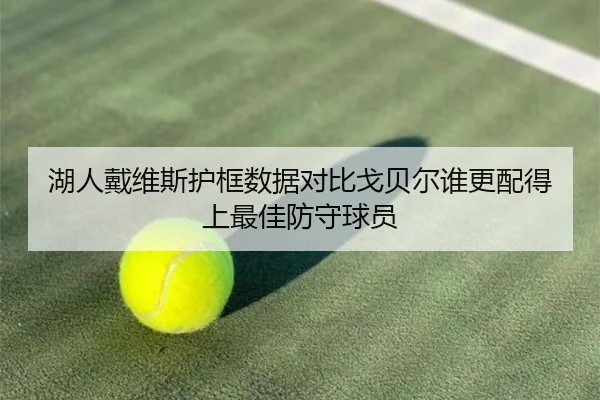 湖人戴维斯护框数据对比戈贝尔谁更配得上最佳防守球员